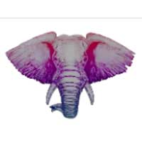 Exotic Elephant