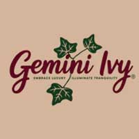 Gemini Ivy