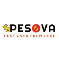 Pesova